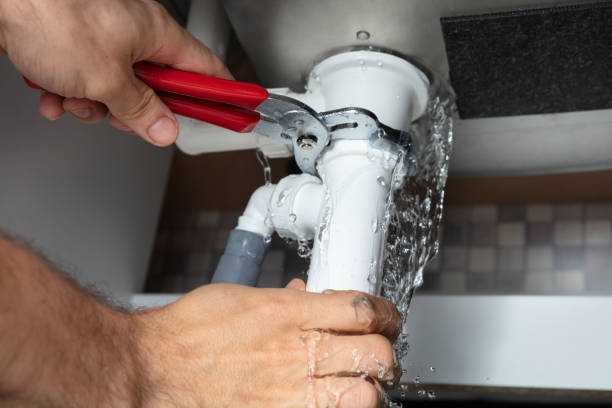 Best 24/7 water damage repair  in Chatfield, MN
