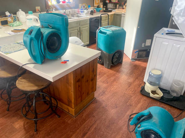 Best Emergency water damage restoration  in Chatfield, MN