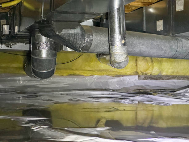 Best Commercial water damage restoration  in Chatfield, MN