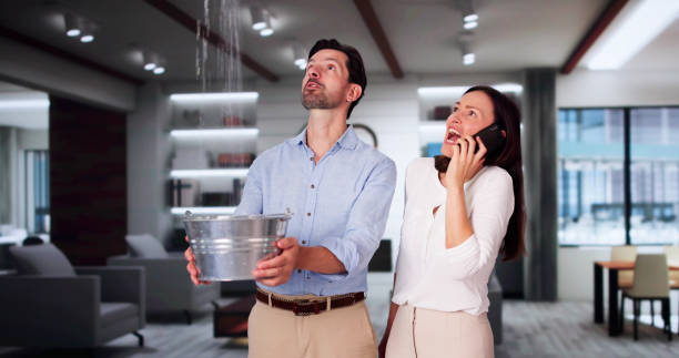 Best Emergency water damage restoration  in Chatfield, MN