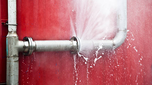 Best Emergency water extraction  in Chatfield, MN