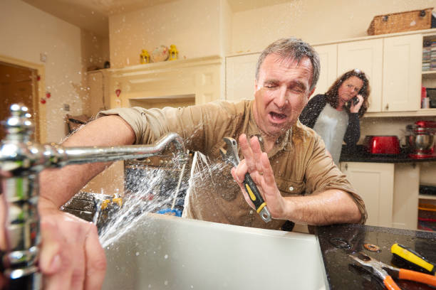 Best Sewage cleanup and water damage restoration  in Chatfield, MN